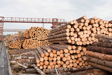 Similar image 1262682