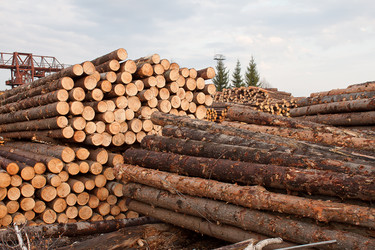 Similar image 1262683