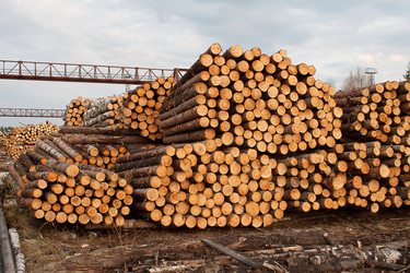 Similar image 1262684