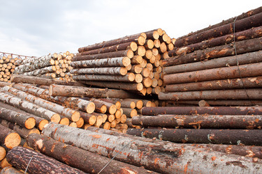 Similar image 1262685