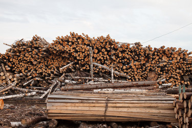 Similar image 1262699