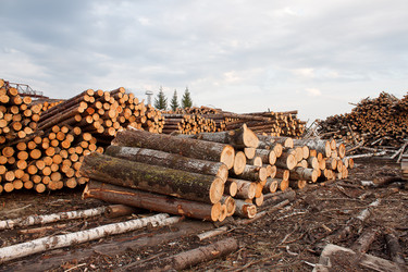 Similar image 1262700