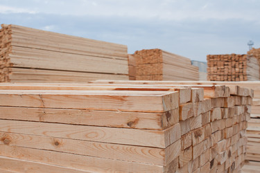 Similar image 1262702