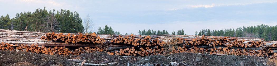 Similar image 1262705