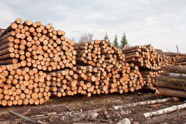 Similar image 1262706