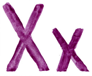 Similar image 1262802