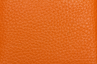 Similar image 1262831