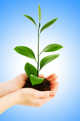 Similar image 1262903