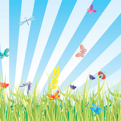 Similar image 1262919