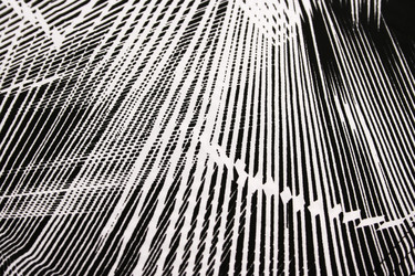 Similar image 1262976