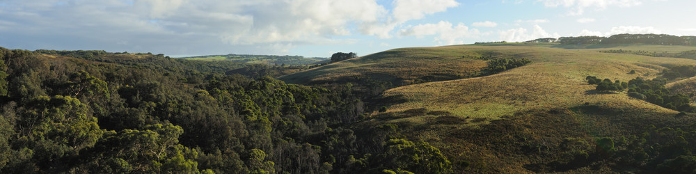 Similar image 1262986