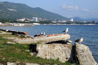 Similar image 1263489