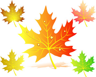 Similar image 1263524