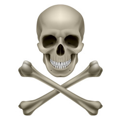 Similar image 1263558