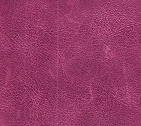 Similar image 1263577