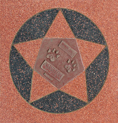 Similar image 1263620