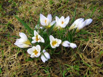 Similar image 1263622