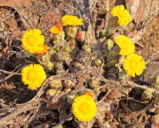 Similar image 1263627