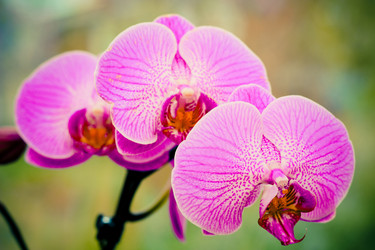 Similar image 1263628