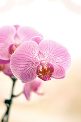 Similar image 1263630