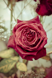 Similar image 1263635