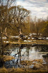 Similar image 1263638