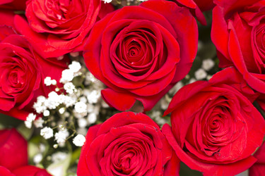 Similar image 1263640