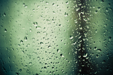 Similar image 1263645