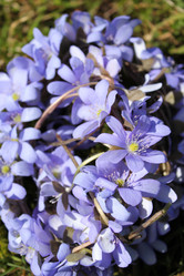 Similar image 1263731