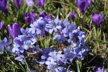 Similar image 1263732