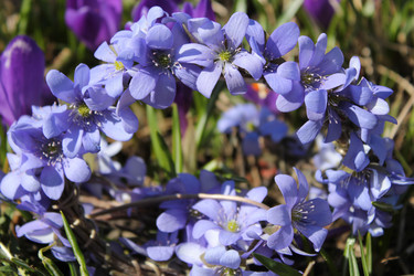 Similar image 1263733