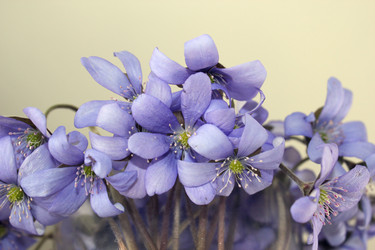 Similar image 1263734