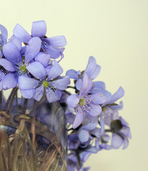 Similar image 1263735