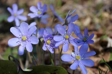 Similar image 1263738