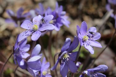 Similar image 1263740