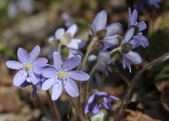 Similar image 1263741