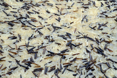 Similar image 1263765