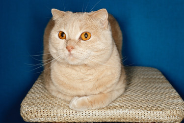 Similar image 1263796