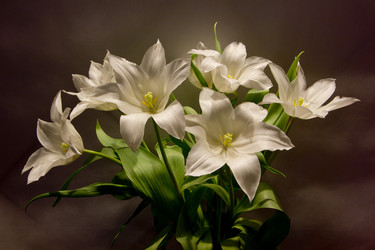 Similar image 1263800