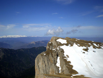 Similar image 1263903