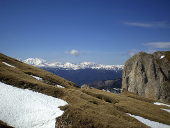 Similar image 1263904