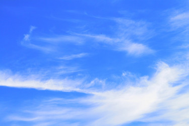 Similar image 1263928