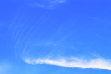 Similar image 1263929