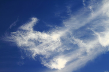 Similar image 1263933