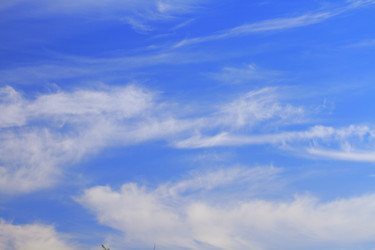 Similar image 1263935