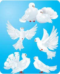 Similar image 1263981