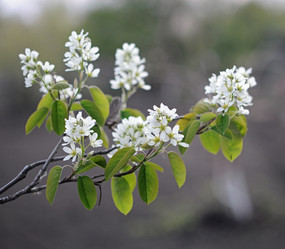 Similar image 1264009