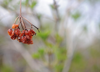 Similar image 1264014