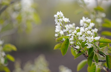 Similar image 1264016