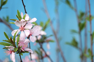 Similar image 1264037